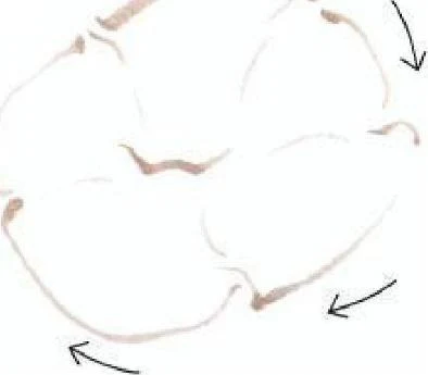 https://lh3.googleusercontent.com/Db2g7dMofNRnnZpCTD258gXhGO3oOvbiOITLukxRHQQY4sNUMfahciz8YSkGOEqPGcr3bODQlq7QpFDageZcWzXHByeJ8kiZg75srZZQp0GPGLsEmt1CCv9merzNfBNLJBYI_JmdR4PS1F7TtSxf