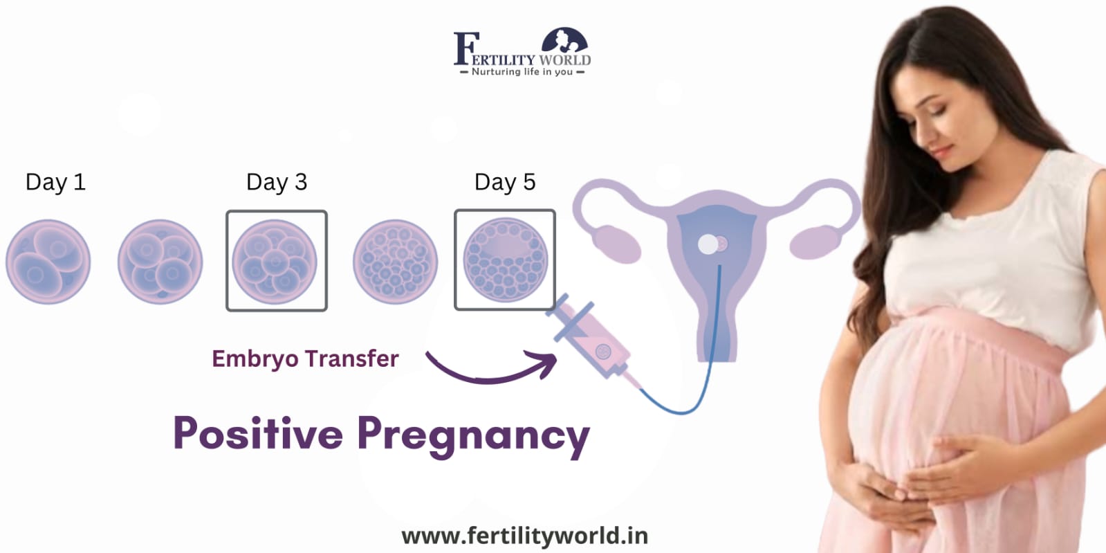 What is the IVF success rate in Jodhpur?