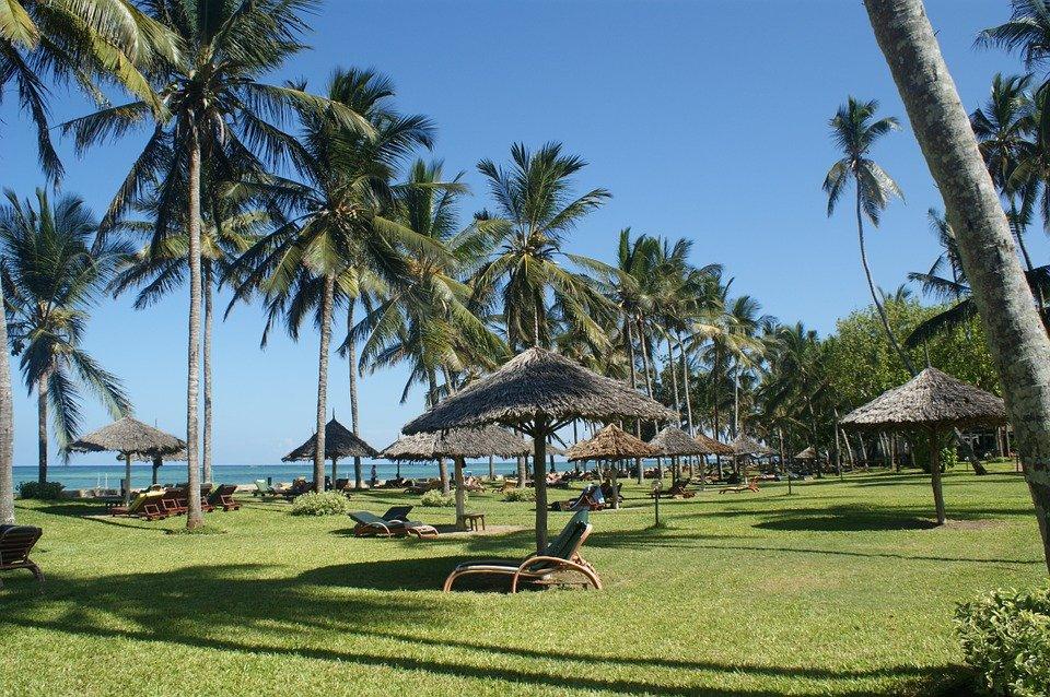 Palms, Beach, Holiday, Kenya, Vacation, Paradise, Sun
