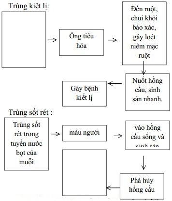 https://i.vietnamdoc.net/data/image/2015/11/16/de-cuong-on-tap-hoc-ki-1-mon-sinh-hoc-lop-7.jpg