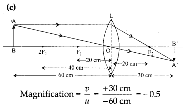 CBSE Previous Year Question Papers Class 10 Science 2017 Outside Delhi Term 2 Set I Q22