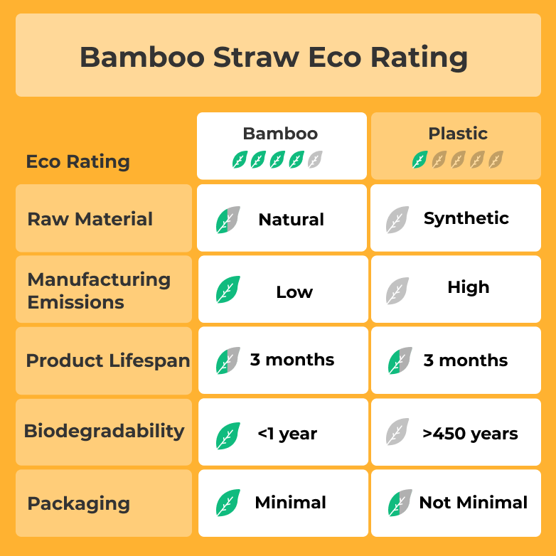 Bamboo Straw – Set of 2 Baanstraw – Brand Zero