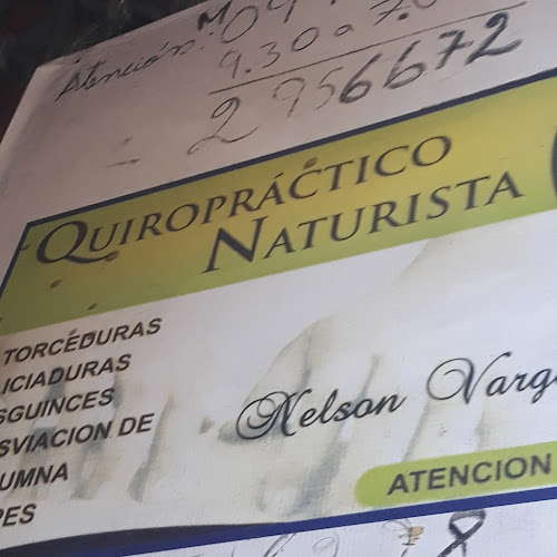 Opiniones de Quiropractico Naturista en Quito - Centro naturista