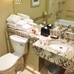 Disabled Access bathroom Sheraton New York