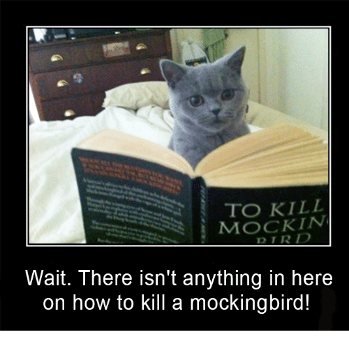 Image result for to kill a mockingbird memes