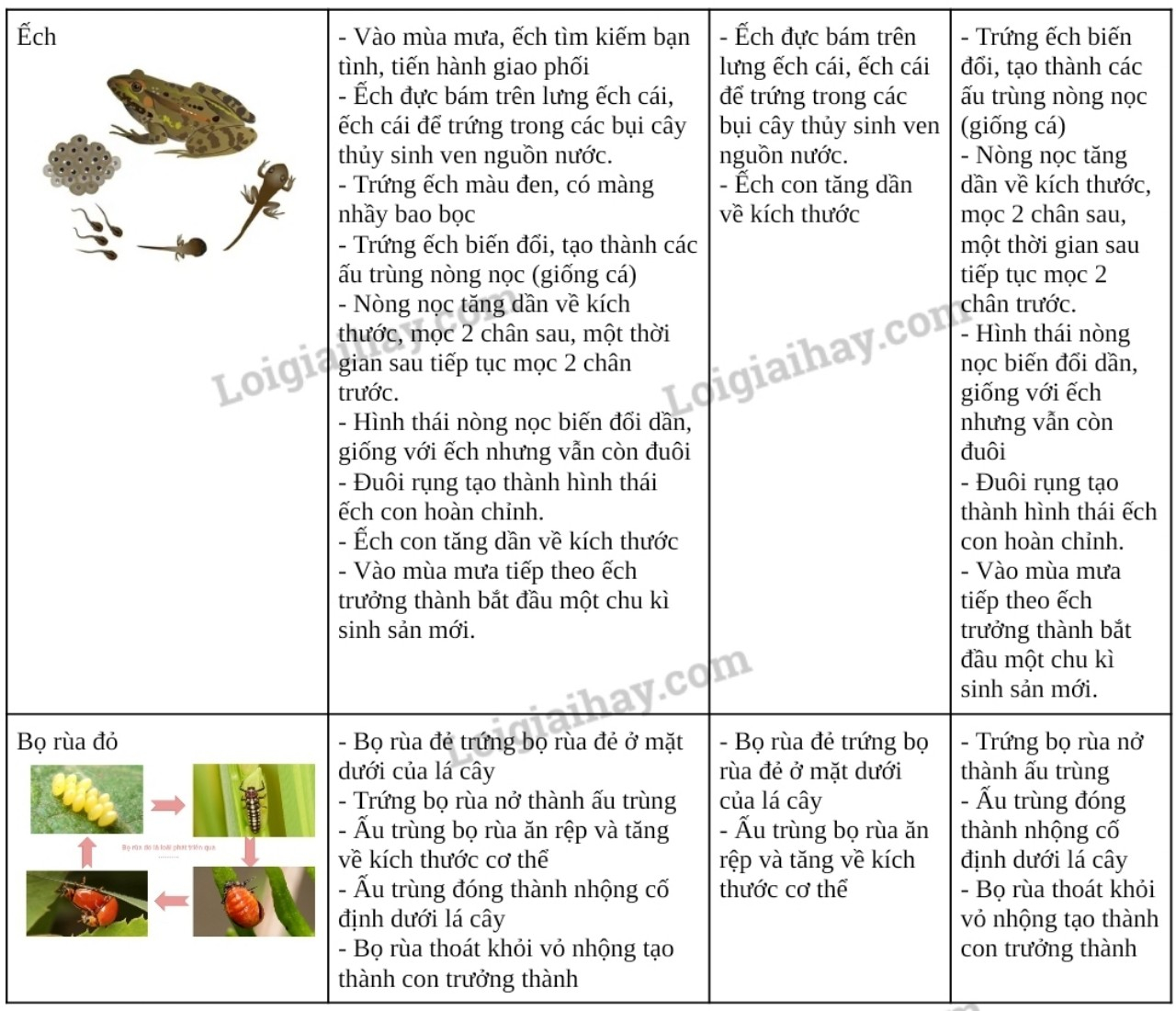 Giải KHTN 7 Bài 36: Thực hành chứng minh sinh trưởng và phát triển ở thực vật, động vật Chân trời sáng tạo