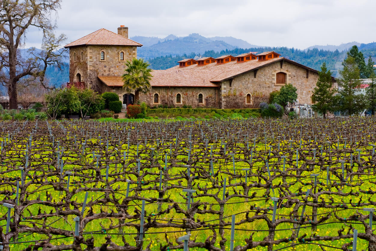 Discover Napa Valley during the months between August to October