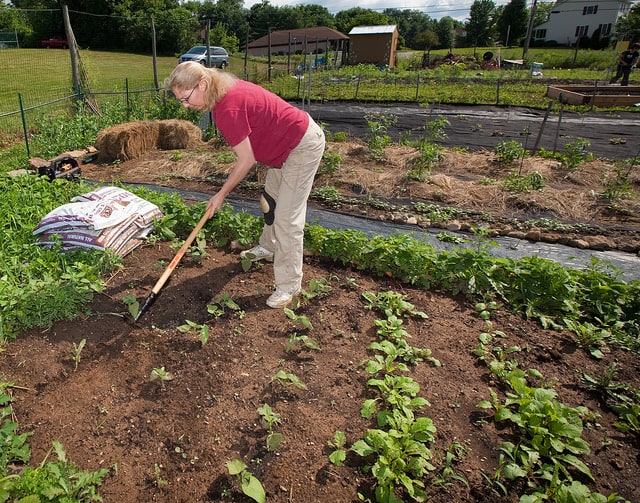 How Organic Gardening Helps the Environment