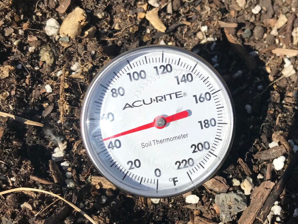 Improper Soil Temperature