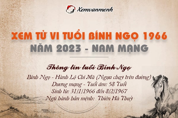 Xem tử vi tuổi Bính Ngọ 1966 nam mạng 