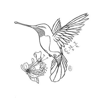 Colibri #23 (Animaux) – Coloriages à imprimer