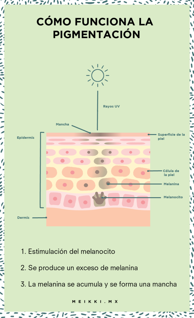 CÓMO FUNCIONA LA PIGMENTACIÓN