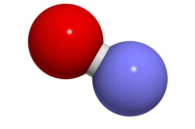Nitric oxide: its role in your body and the truth behind its performance  enhancing properties