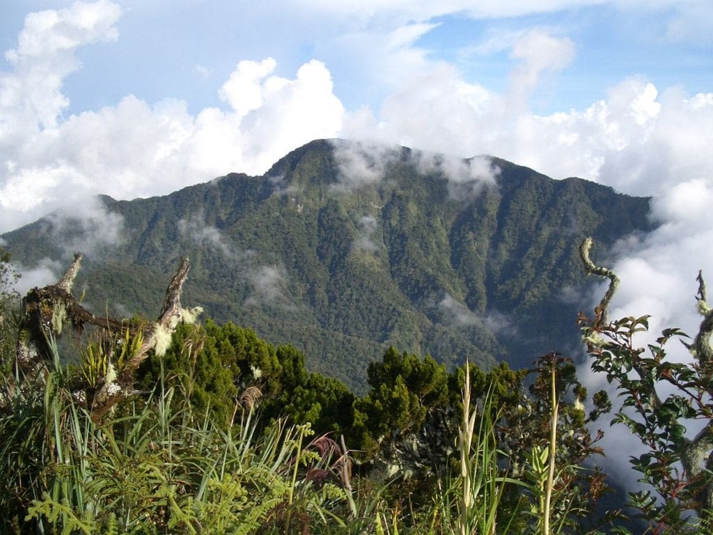 Mount Dulang-Dulang, bukidnon tourist spots, things to do in bukidnon