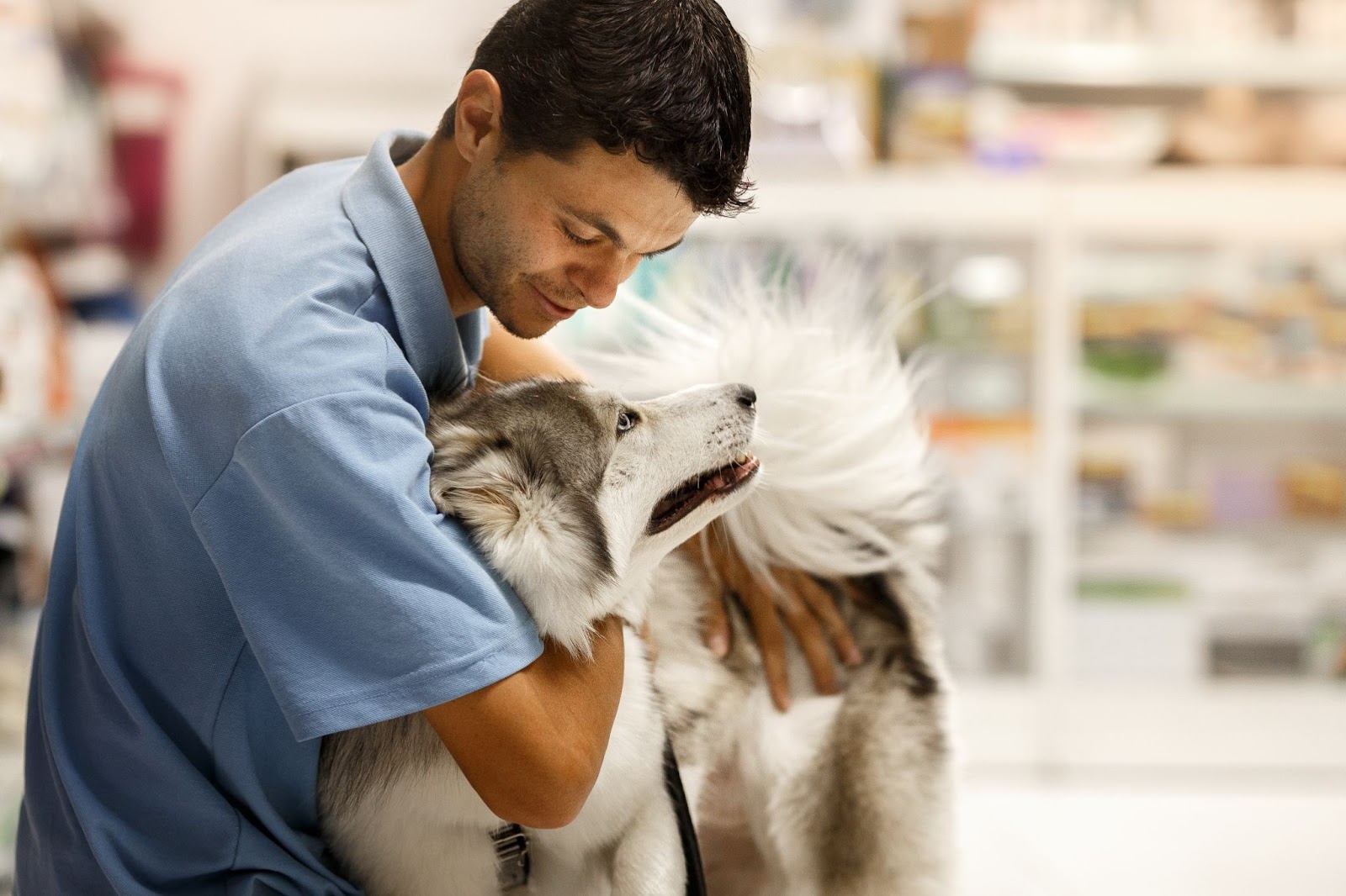 atendente se pergunta como atrair clientes para pet shop 