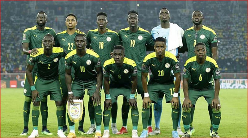Sư tử Teranga - Senegal - Những đội Châu Phi nào tham gia Worldcup 2022