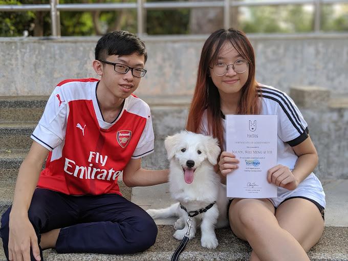 best dog training near me