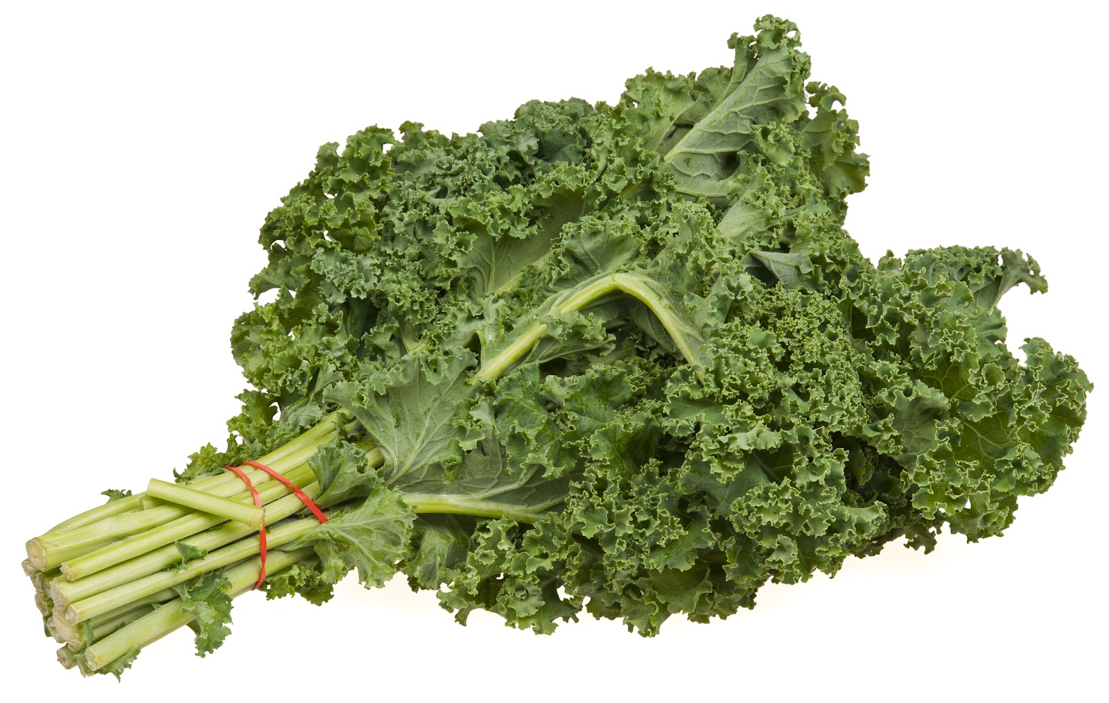 File:Kale-Bundle.jpg - Wikimedia Commons