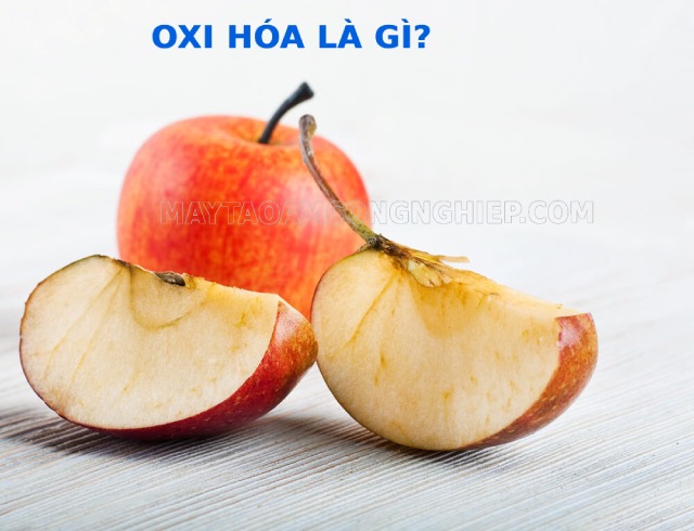 Tìm hiểu Oxi hóa là gì?