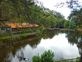 Figueiró dos Vinhos-Castanheira Pêra-Espinhal (Penela) KSKOYhfCnSBfkWI3u64MaPUZtiNTvfJWnPj3zHNhTQ=w276-h207-p-no