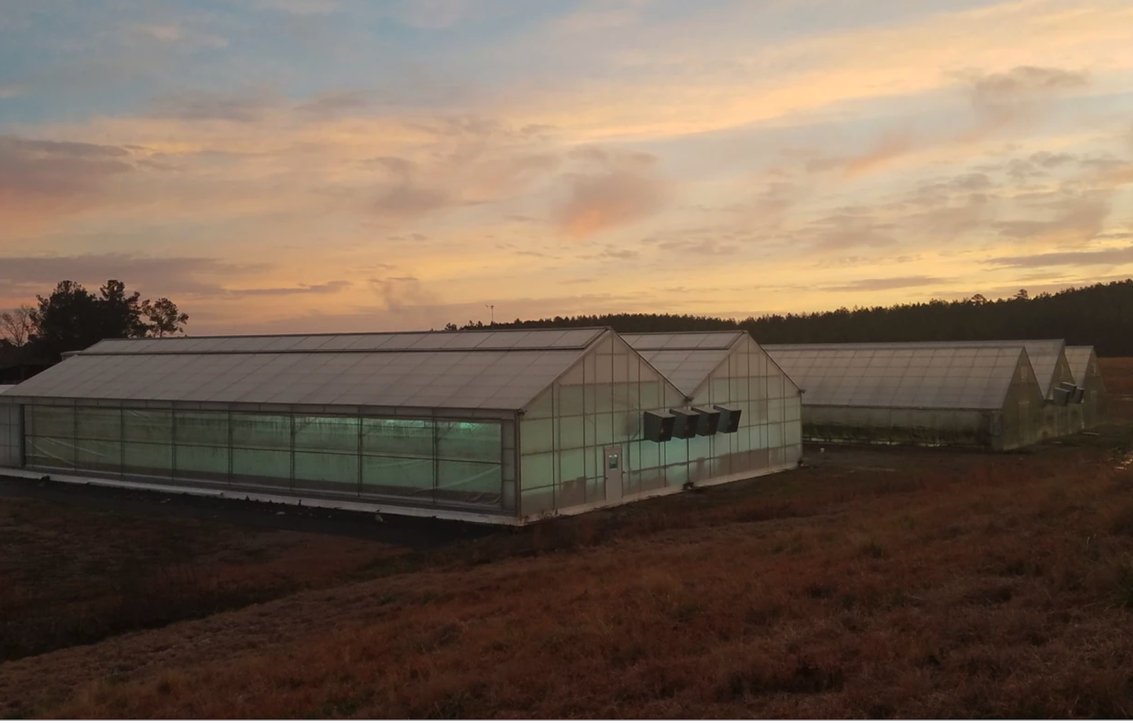 kSXtsvsSFYu5DVI6N8kg4AsUnv0Nq mZ06fyg2TkQukFVrj8OoWbu3UdWKah7qF7oIHuF5MqZsIsTsVwytl4GjdzmI1b1jZwCT8r6mGkul0PevsBgJX7zCG5Ned0AYB6C6yIWhAq TekLinks’ founder Stuart Raburn gets back to entrepreneurial roots with latest Southern Organics aquaponic farm (photos)