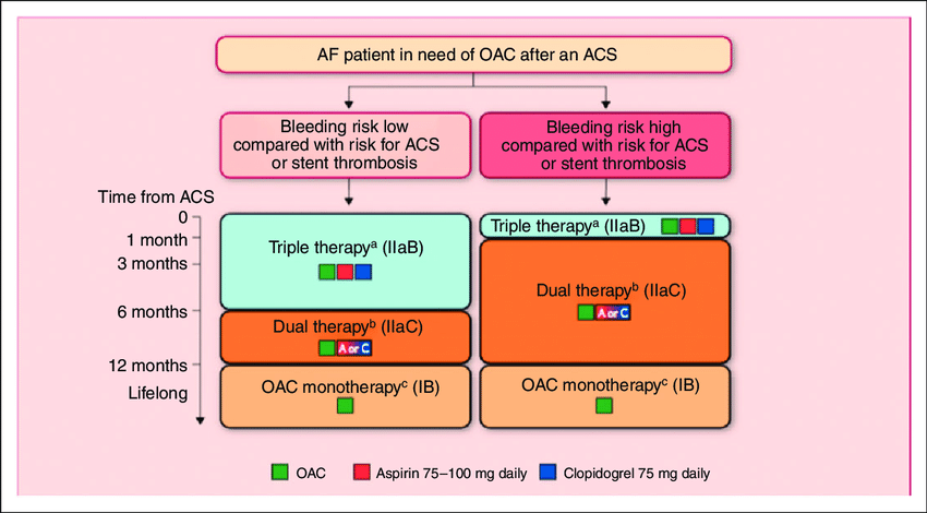 Antithrombotic therapy after an ACS in atrial fibrillation patients requiring oral anticoagulation (reproduced with permission from Kirchhof et al. 42 ). (a) Dual therapy with OAC and aspirin or clopidogrel may be considered in selected patients, especially those not receiving a stent or those at a longer time from the index event. (b) OAC plus single antiplatelet. (c) Dual therapy with OAC and an antiplatelet agent (aspirin or clopidogrel) may be considered in patients at high risk of coronary events. AF: atrial fibrillation; ACS: acute coronary syndrome; OAC: oral anticoagulation 