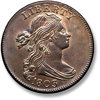 Large CentsDraped Bust - Front