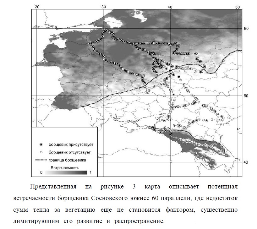 вторичный ареал борщевика сосновского