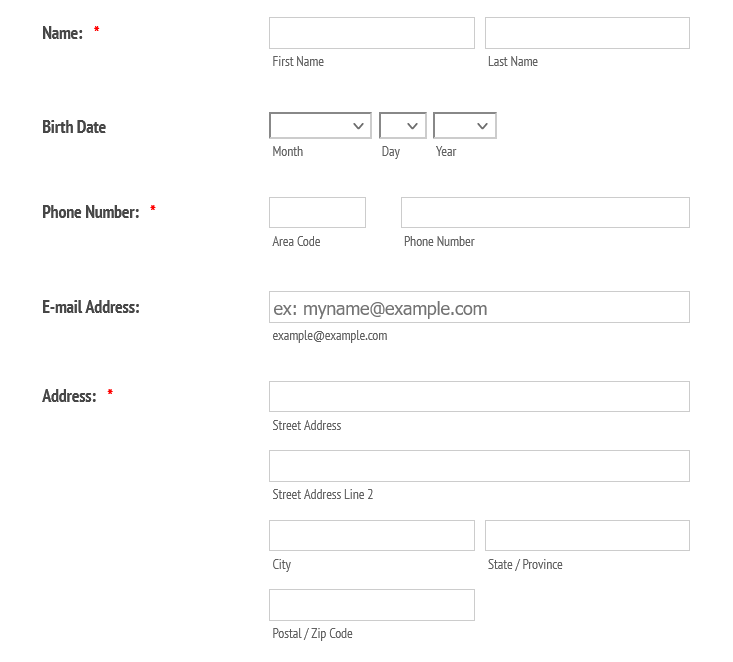 Screenshot of a basic contact information form, including fields for name, birth date, phone number, email address, and address.