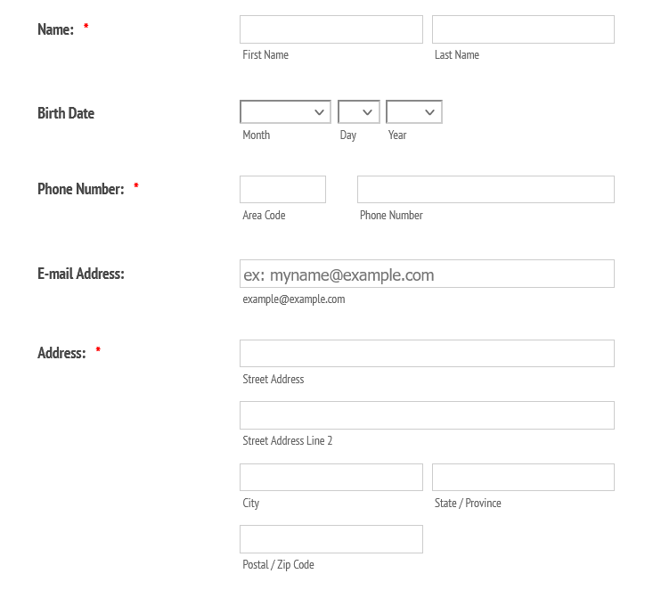 Job Application Survey Template for Online Applications