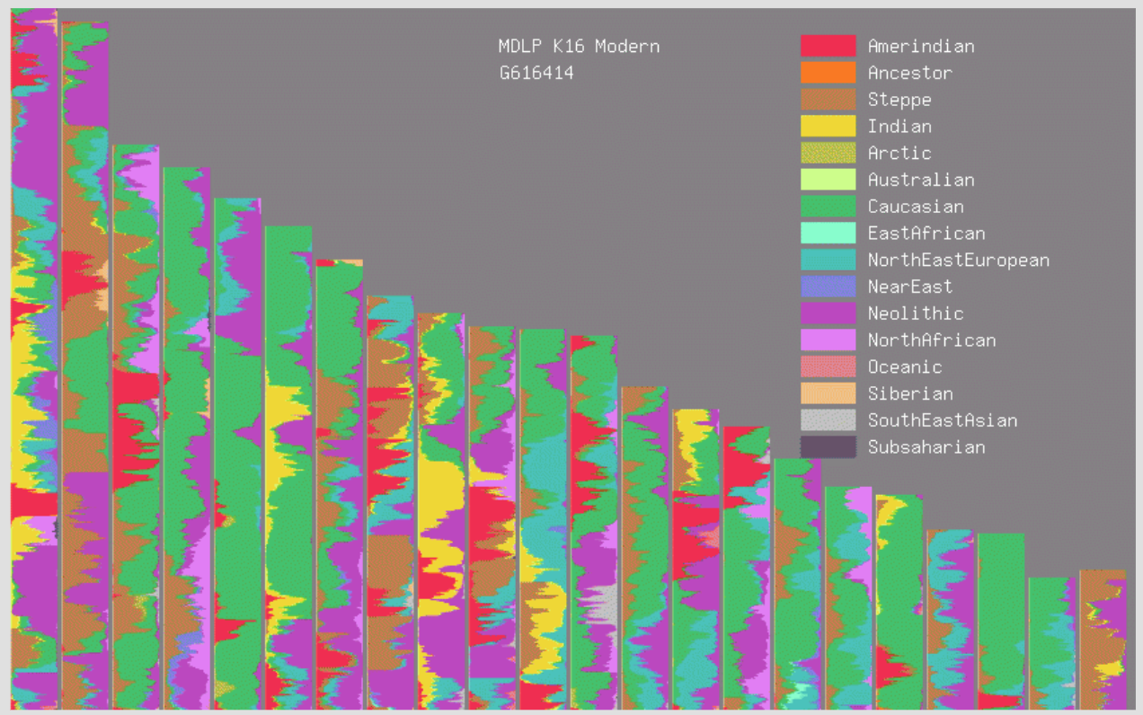 Это «хромосомная раскраска» из проекта МДЛП. Из обзора GEDmatch Genesis.