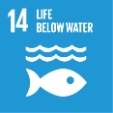 SDG 14｜保育及維護海洋資源（Life Below Water）｜覺醒設計