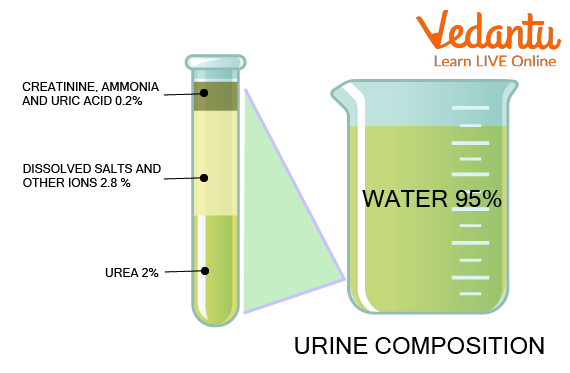 Composition of Urine