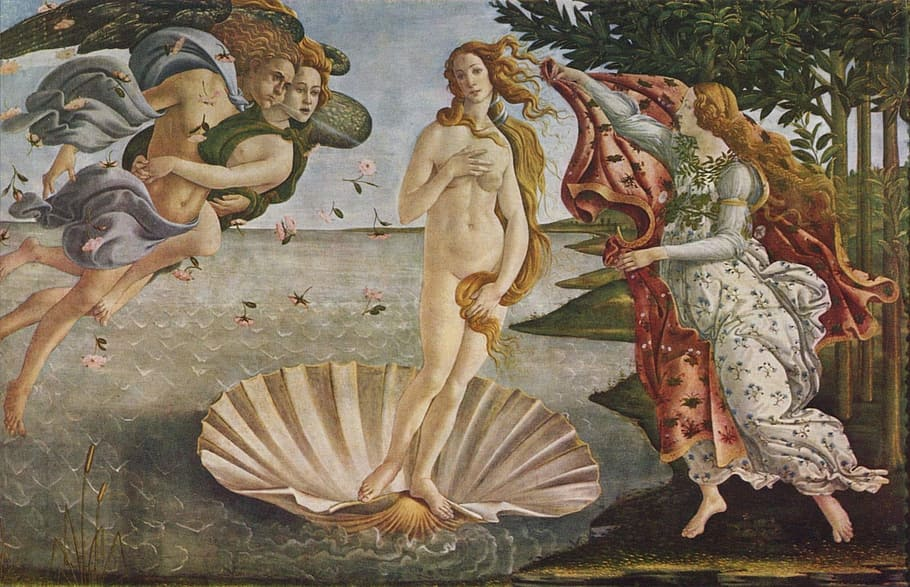 It depicts the birth of Aphrodite as she stands naked on a giant white shell, her long hair reaching beyond her waist. The illustration is called the birth of Venus. 