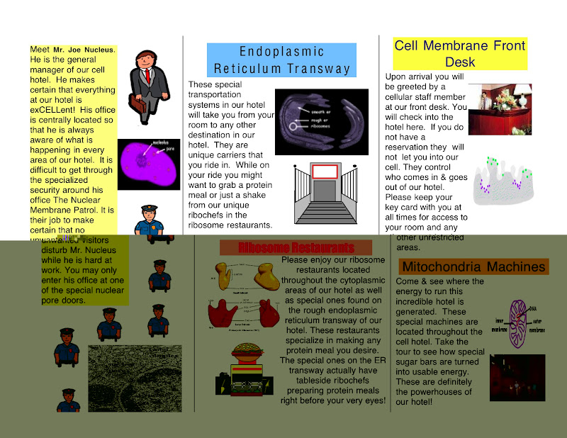 project cell organelles travel brochure through the cell