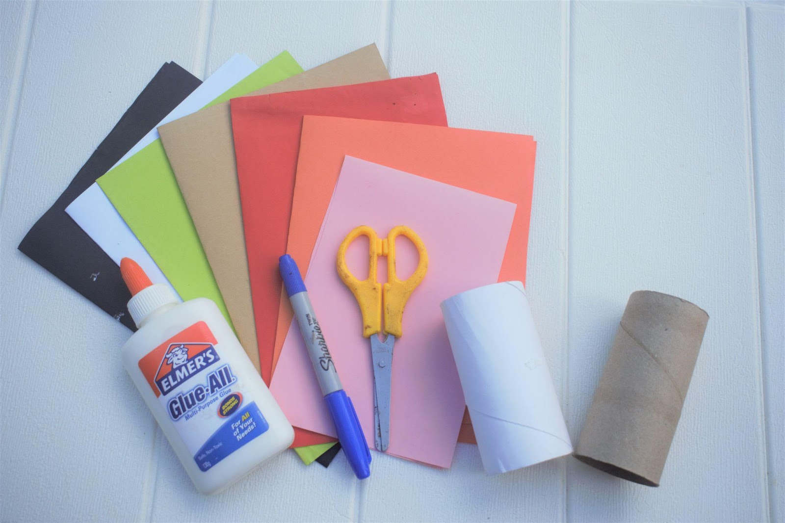 construction paper, toilet paper roll, glue, scissors, and marker