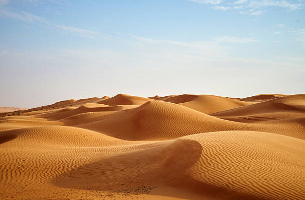 What is the driest place on Earth?