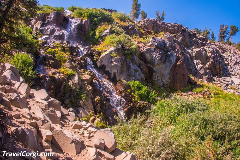 Galena Falls In Humboldt-Toiyabe National Forest 