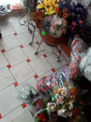 Shalom - Arequipa