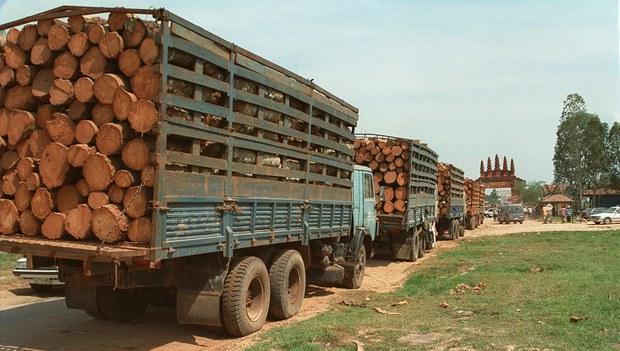 Nhóm làm việc Mỹ - Việt Nam về gỗ có phiên họp đầu tiên