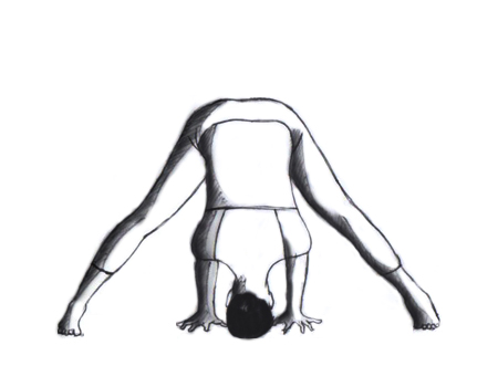 prasarita podottanasana.jpg