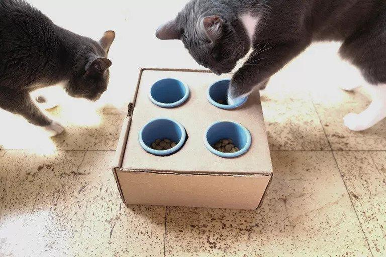 DIY Cat Puzzle Feeder