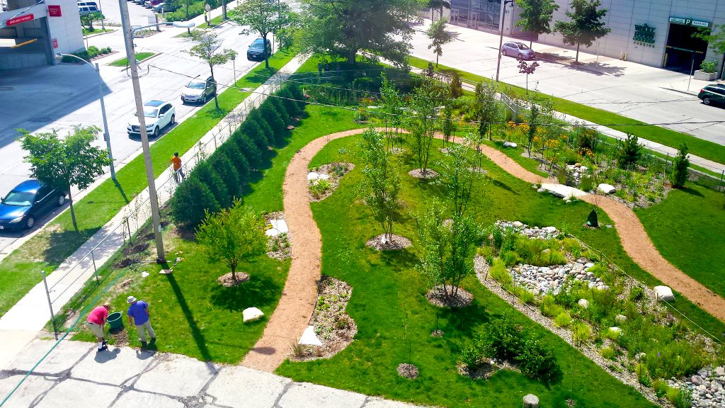 rain garden, Milwaukee.jpg