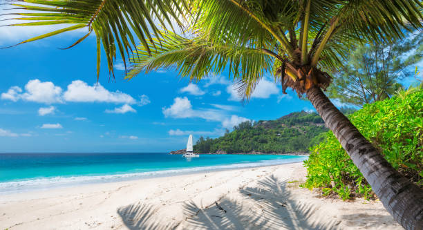 most popular islands in Fiji
