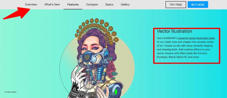 Graphic design tools: Top 8 Tools to Create Stunning Images