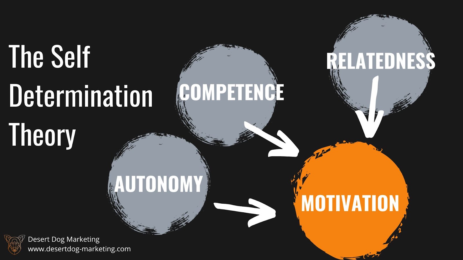 Infographic of the self determination theory.