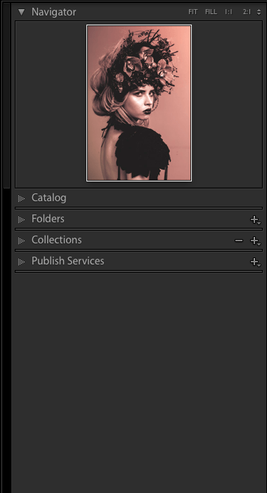 biblioteca lightroom
