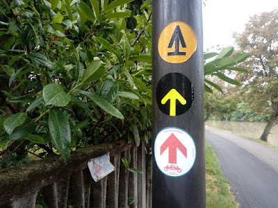 Nuove etichette a Treviso Nuove etichette a Treviso