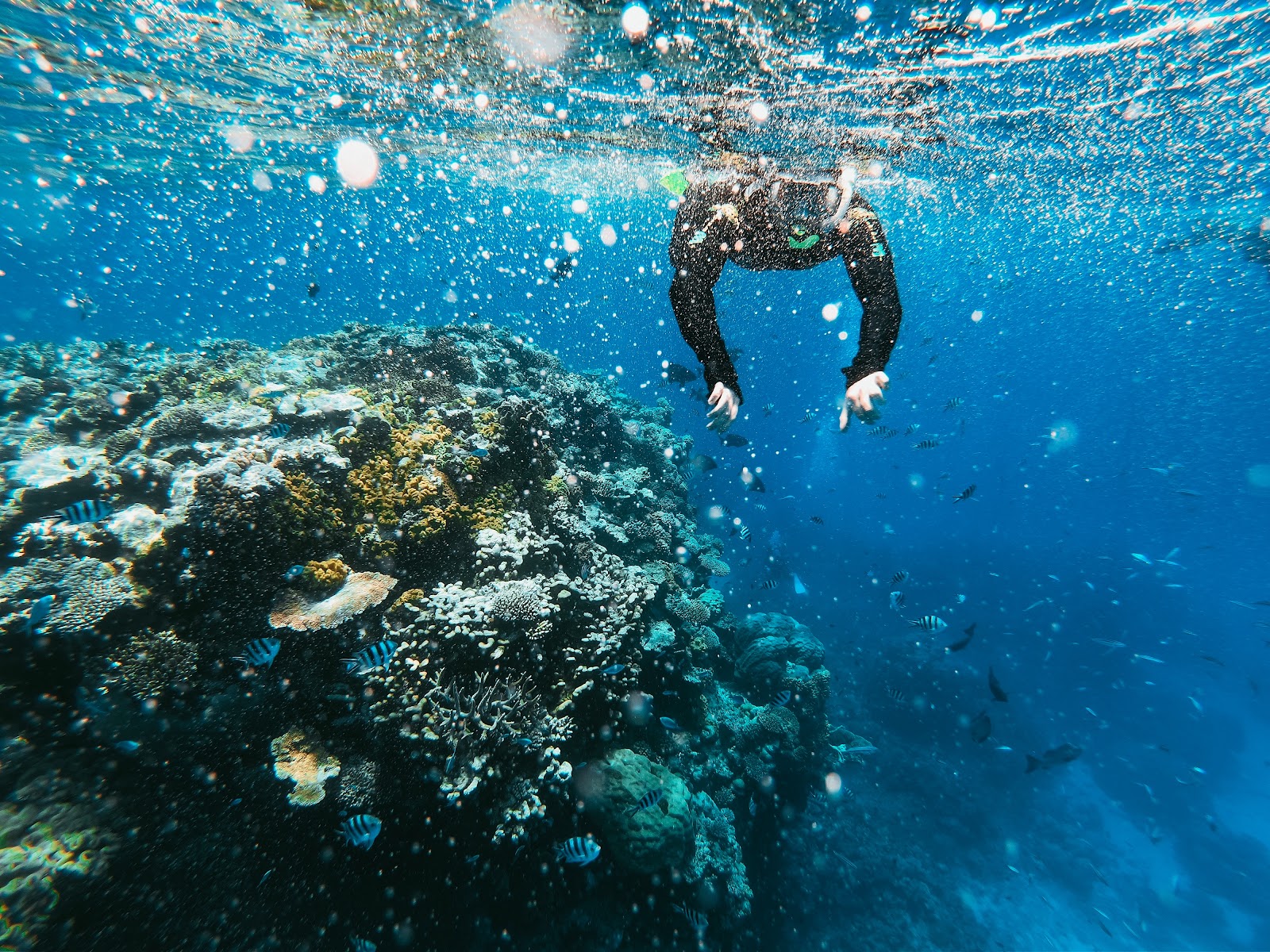 Pulau Kri raja ampat