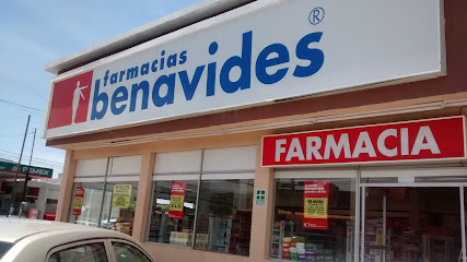 Farmacia Benavides Pintores, , San Luis Potosí